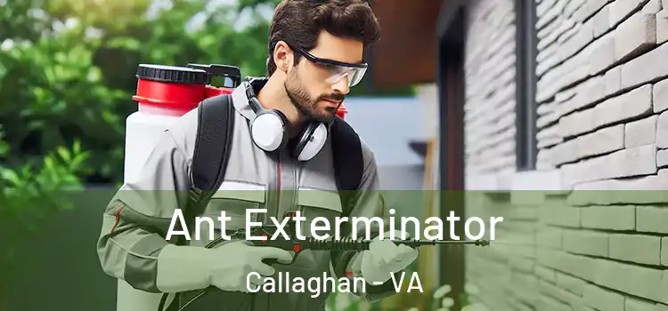 Ant Exterminator Callaghan - VA