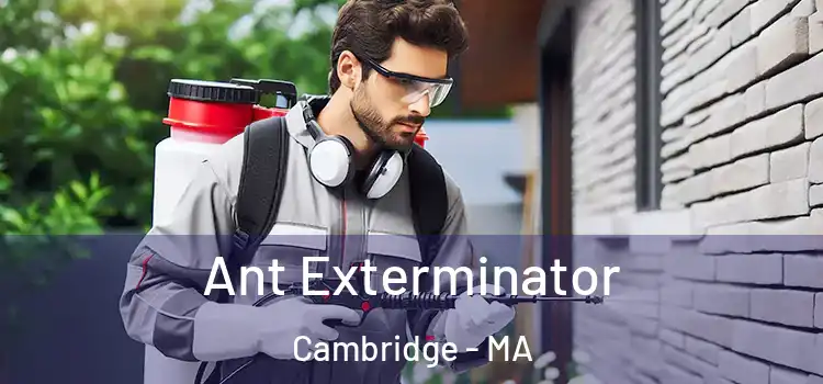  Ant Exterminator Cambridge - MA