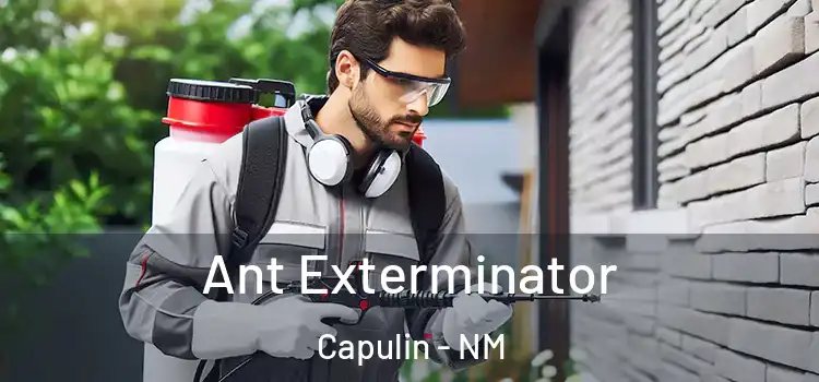 Ant Exterminator Capulin - NM