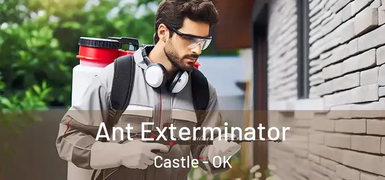  Ant Exterminator Castle - OK