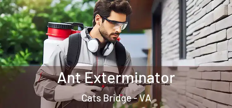 Ant Exterminator Cats Bridge - VA