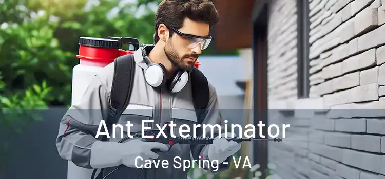 Ant Exterminator Cave Spring - VA