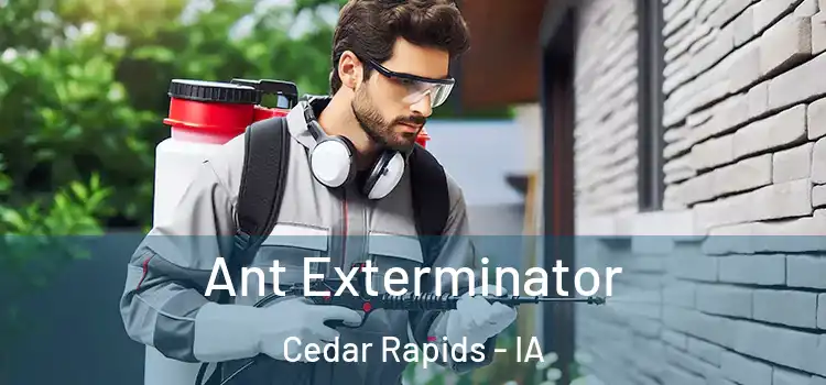  Ant Exterminator Cedar Rapids - IA