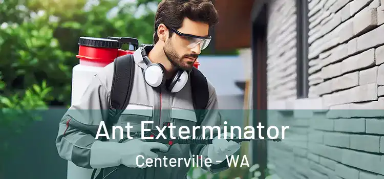  Ant Exterminator Centerville - WA
