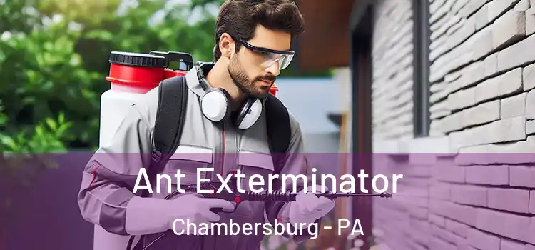  Ant Exterminator Chambersburg - PA