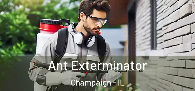  Ant Exterminator Champaign - IL