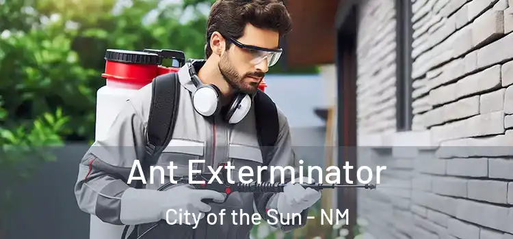 Ant Exterminator City of the Sun - NM