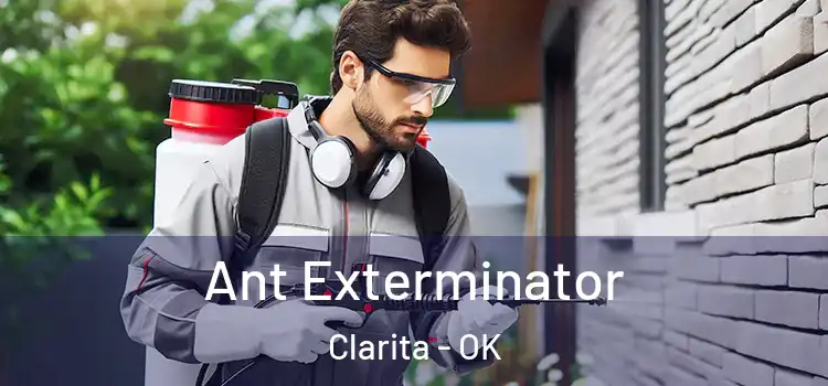  Ant Exterminator Clarita - OK