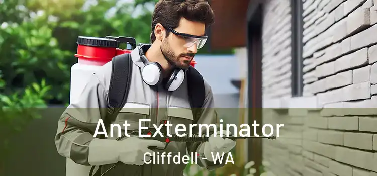  Ant Exterminator Cliffdell - WA