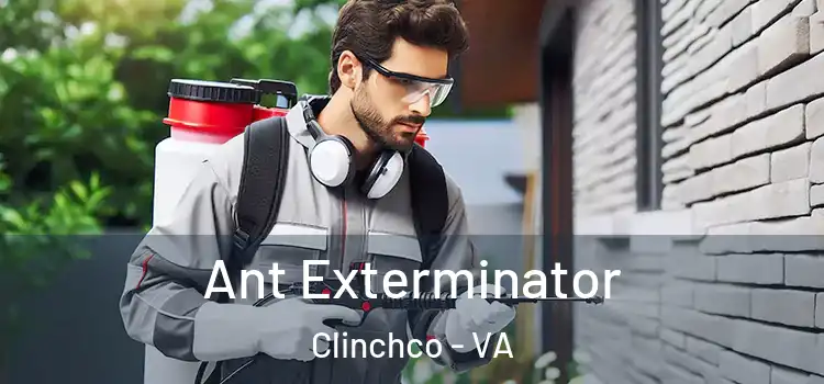 Ant Exterminator Clinchco - VA