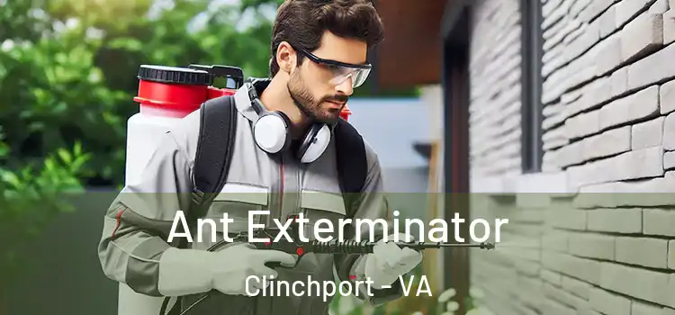 Ant Exterminator Clinchport - VA