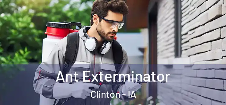  Ant Exterminator Clinton - IA