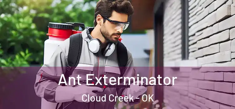  Ant Exterminator Cloud Creek - OK