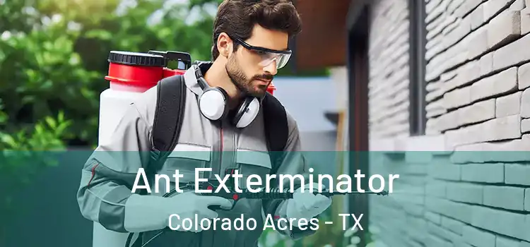  Ant Exterminator Colorado Acres - TX