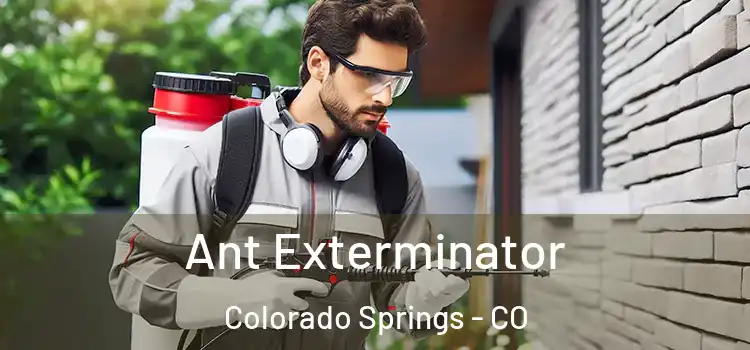 Ant Exterminator Colorado Springs - CO