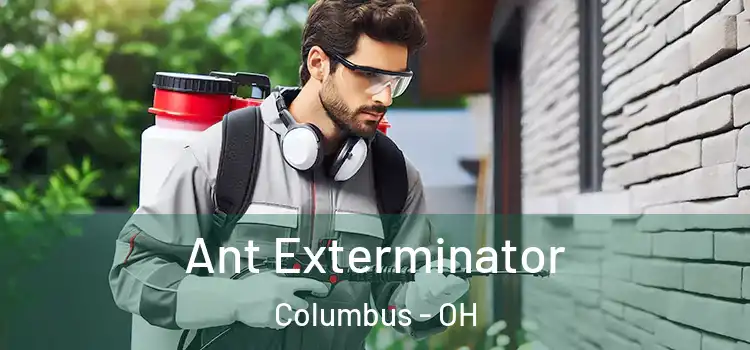 Ant Exterminator Columbus - OH