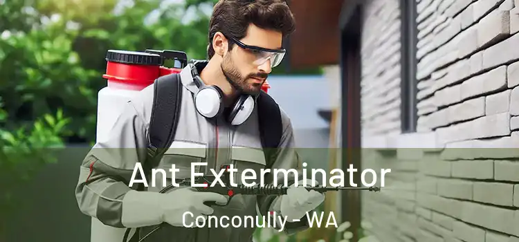  Ant Exterminator Conconully - WA
