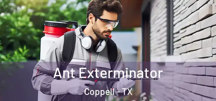 Ant Exterminator Coppell - TX