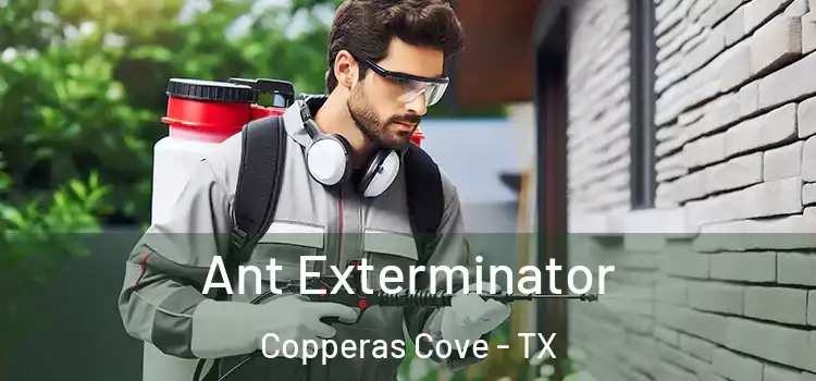 Ant Exterminator Copperas Cove - TX
