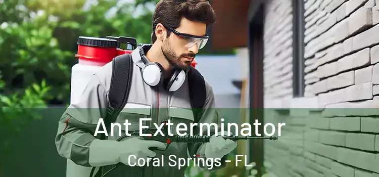 Ant Exterminator Coral Springs - FL