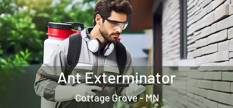  Ant Exterminator Cottage Grove - MN