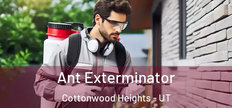  Ant Exterminator Cottonwood Heights - UT