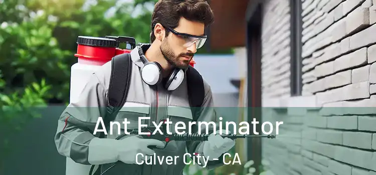 Ant Exterminator Culver City - CA