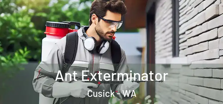  Ant Exterminator Cusick - WA