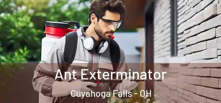 Ant Exterminator Cuyahoga Falls - OH