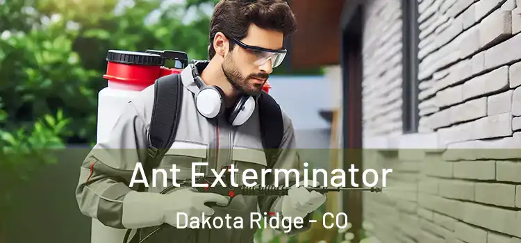 Ant Exterminator Dakota Ridge - CO