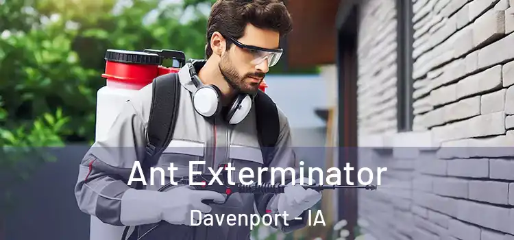  Ant Exterminator Davenport - IA