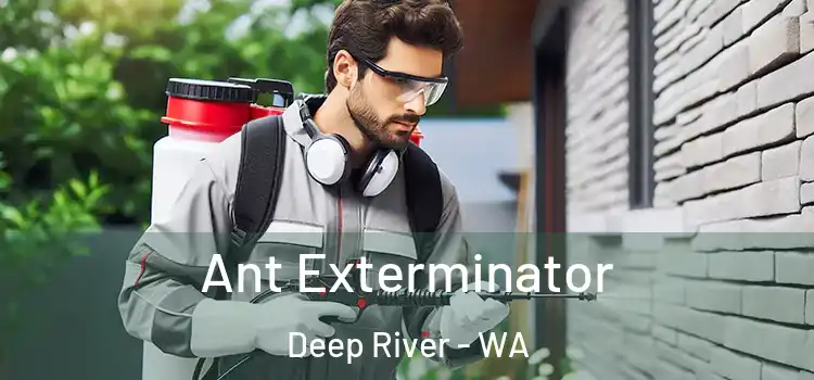  Ant Exterminator Deep River - WA