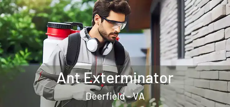 Ant Exterminator Deerfield - VA