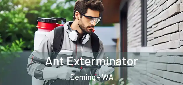  Ant Exterminator Deming - WA