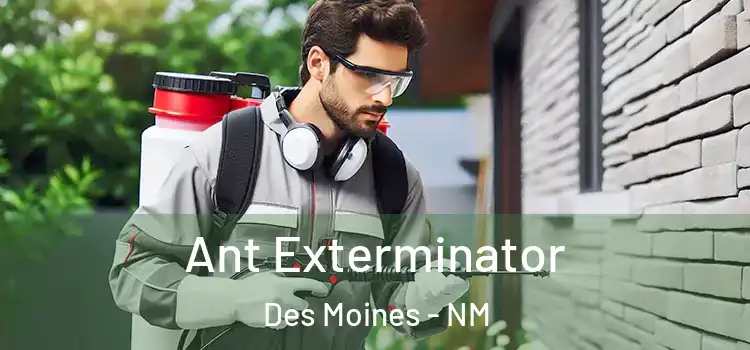 Ant Exterminator Des Moines - NM