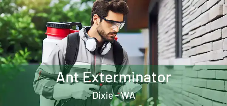  Ant Exterminator Dixie - WA
