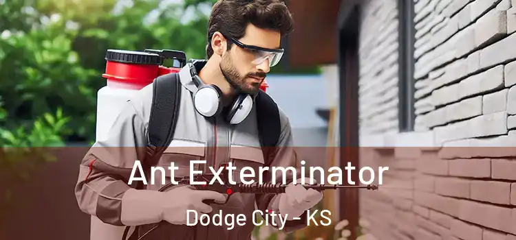  Ant Exterminator Dodge City - KS