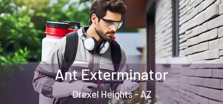  Ant Exterminator Drexel Heights - AZ