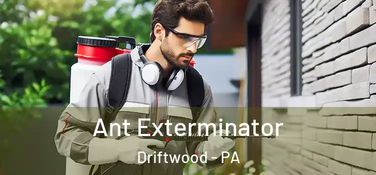  Ant Exterminator Driftwood - PA