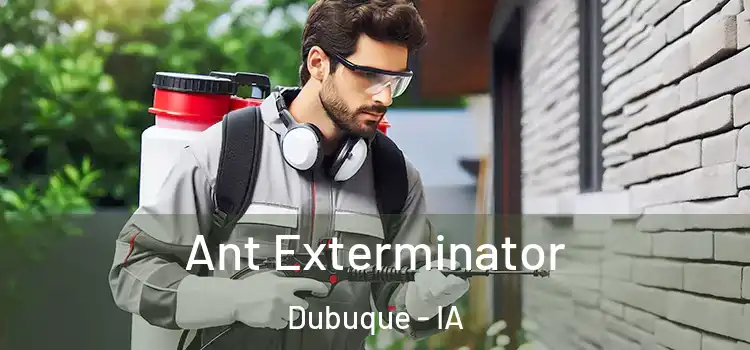  Ant Exterminator Dubuque - IA