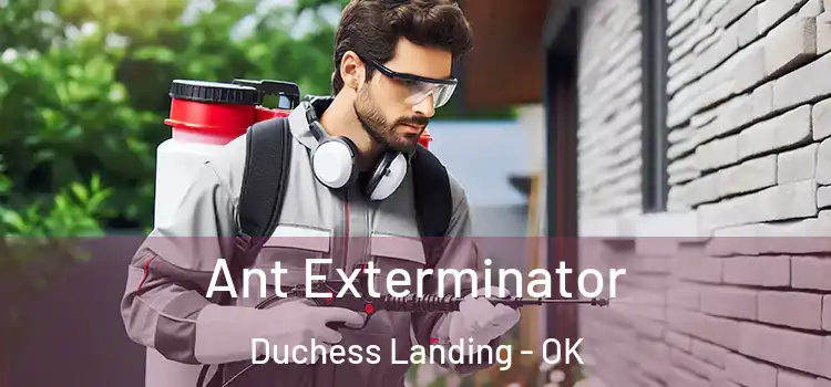  Ant Exterminator Duchess Landing - OK