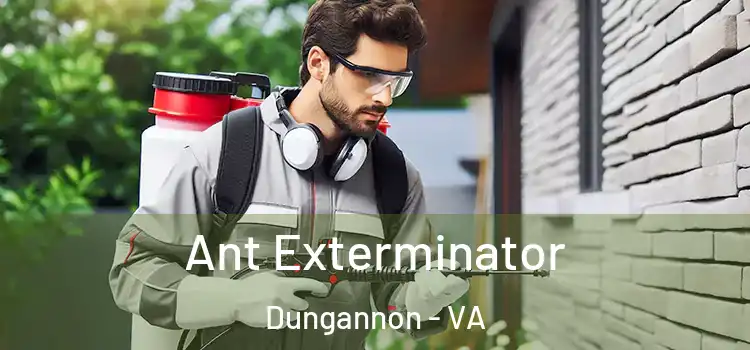 Ant Exterminator Dungannon - VA