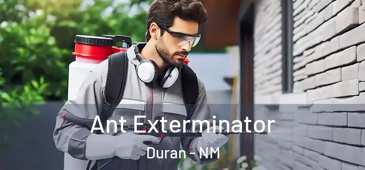 Ant Exterminator Duran - NM