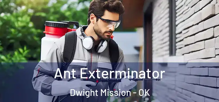  Ant Exterminator Dwight Mission - OK
