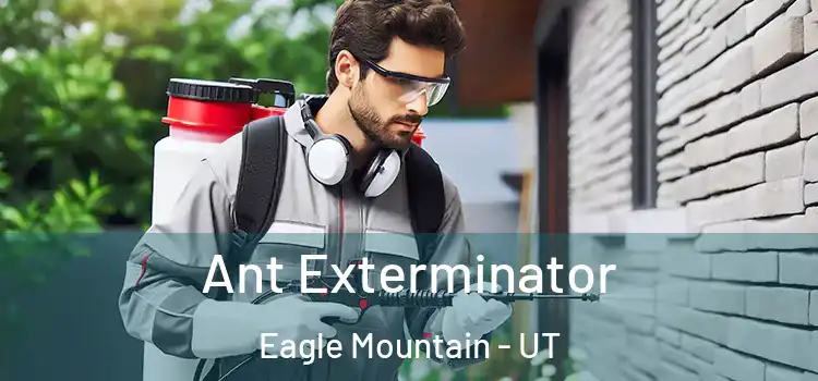  Ant Exterminator Eagle Mountain - UT