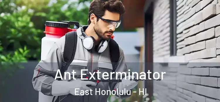 Ant Exterminator East Honolulu - HI