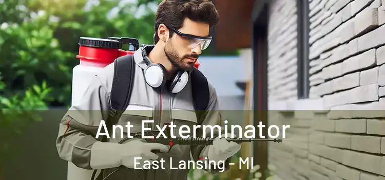 Ant Exterminator East Lansing - MI