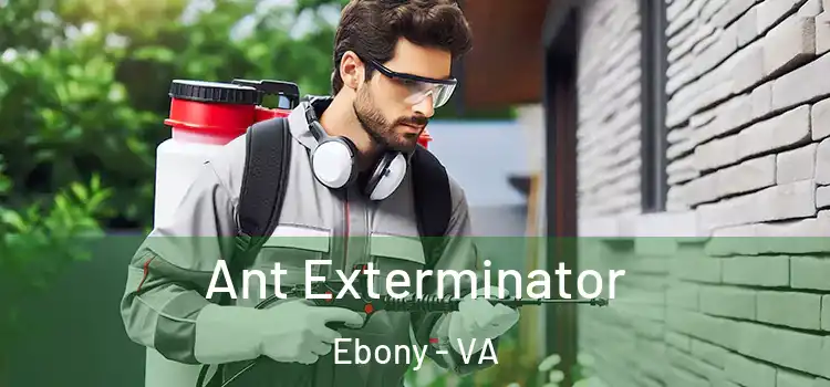 Ant Exterminator Ebony - VA