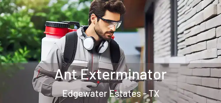  Ant Exterminator Edgewater Estates - TX