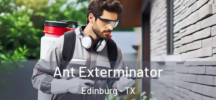 Ant Exterminator Edinburg - TX